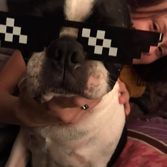 moosegayhart